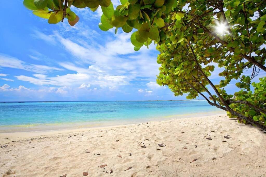Cozy 1-Bedroom Apartment Minutes Away Drive To Mangel Halto Beach Savaneta Zewnętrze zdjęcie